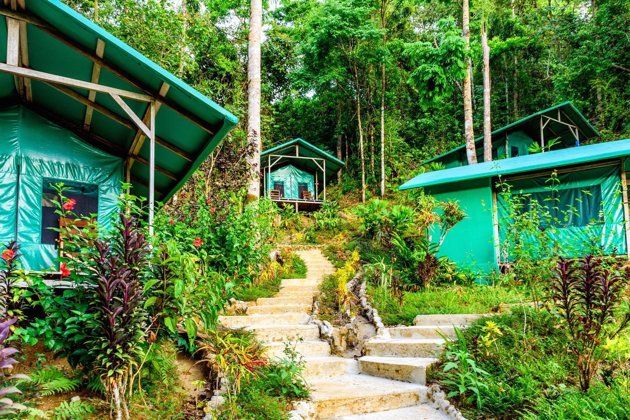Luna Lodge Carate Номер фото